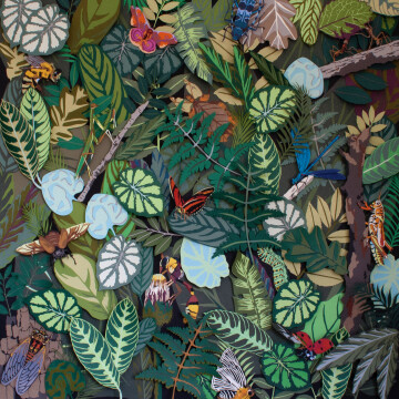 "Nature sculptée, Nature de papiers" exposition de Pauline Faure chez Deyrolle