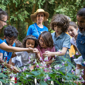 Atelier "Petits détectives de la biodiversité sauvage"