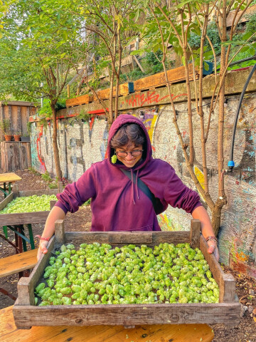 Chantiers au Potager de la Ferme Urbaine de la REcyclerie