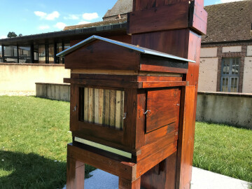 "Api Hour" autour de la ruche des abeilles noires