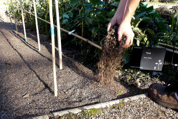 [ANNULÉ] Atelier jardinage : Semis d'automne et engrais verts (atelier adultes)