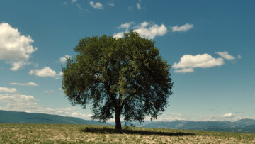 [M&A] Carte Blanche à Heure Exquise !