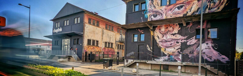 Balade à Bègles : "Flora prend son bain : balade en terres neuves"