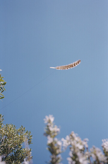 Comme la plume au vent, un atelier créatif et familial