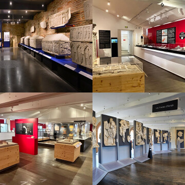 Entrée gratuite pour tout le monde !