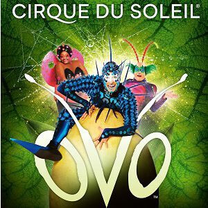 CIRQUE DU SOLEIL