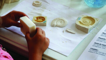 [COMPLET] Ateliers scientifiques - Les petits labos du Musée