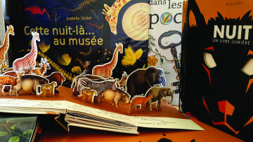 [COMPLET] Séance lecture - Il était une fois... les trésors du Musée