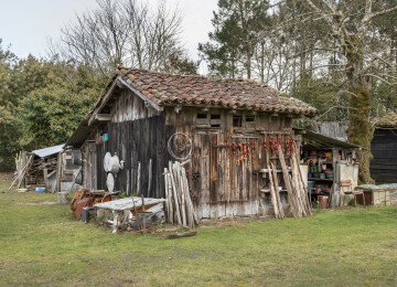 Exposition "Je cours vers toi pour lacer tes chaussures"