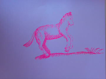 « CARNET DE VOYAGE » [Parcours artistique – étape 2 le design/la sérigraphie]