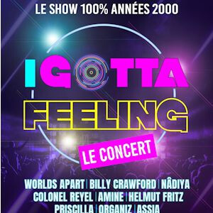 I GOTTA FEELING : LA TOURNEE