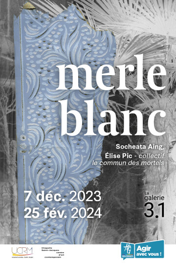 [La galerie 3.1] merle blanc