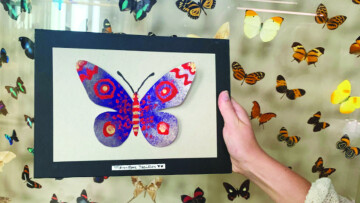 [COMPLET] Somptueux papillons - Atelier créatif