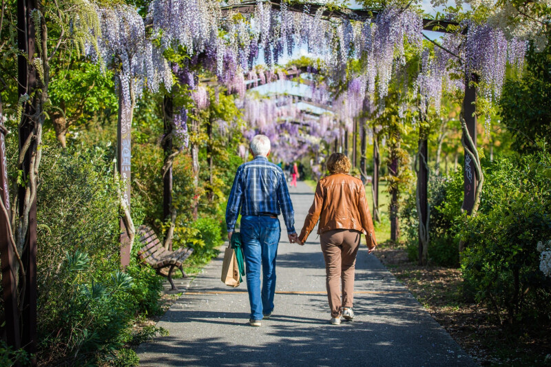 Nordicwalkin' : marche nordique géante dans Bordeaux Métropole