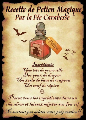 Stage "Magie" / COMPLET