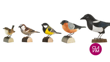 Animation : jeux d'oiseaux