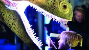 [COMPLET] Nocturne à la lampe torche