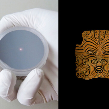 "L'art sous microscope : l'infiniment petit comme matière" (7-12 ans)