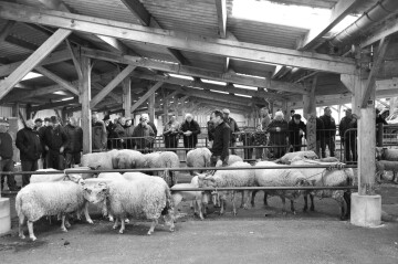 [Exposition] Portraits de foires en Normandie