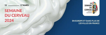 [Semaine du cerveau] De l’aliment au cerveau et vice versa