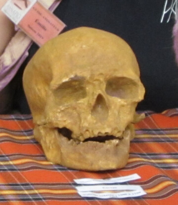 Animation "anthropologie" au parc Asnapio.