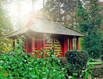 Marche et Méditation au Bois de Vincennes - jardin d'agronomie tropicale
