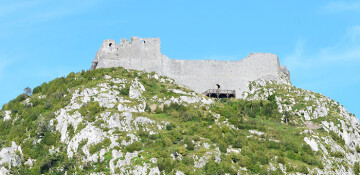 "Cathares". Visite avec la commissaire d'exposition