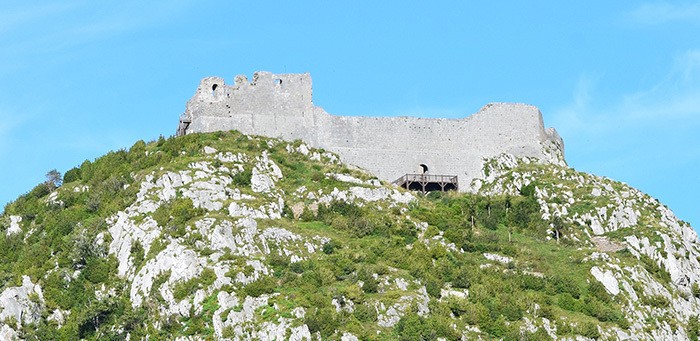 "Cathares". Visite avec la commissaire d'exposition