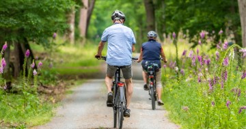 Balade à vélo à la découverte des vergers urbains