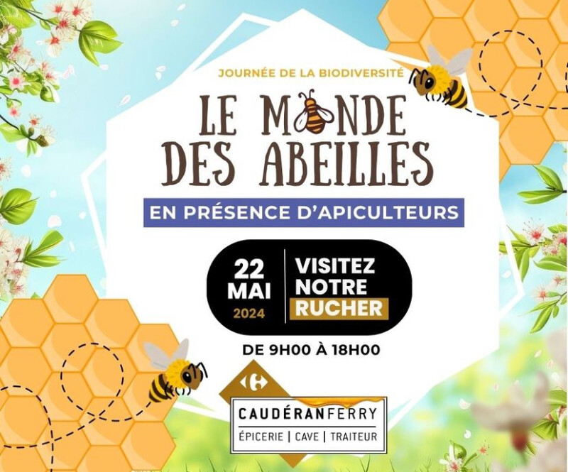 Journée Internationale de la Biodiversité visitez notre Rucher le 22 mai 2024 172 rue Jules Ferry 33200 BORDEAUX