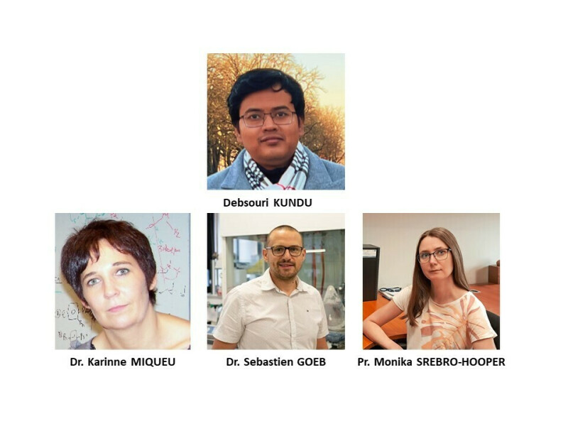 OMC scientific day - Debsouri KUNDU PhD defense