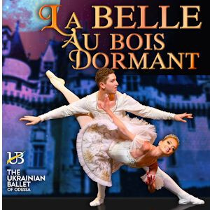 LA BELLE AU BOIS DORMANT