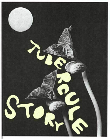 "Tubercule story" de Léonard Salliot