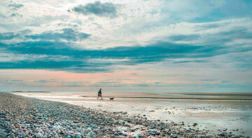 "Regards" 2024 : Exposition du Club Photo de Guérande