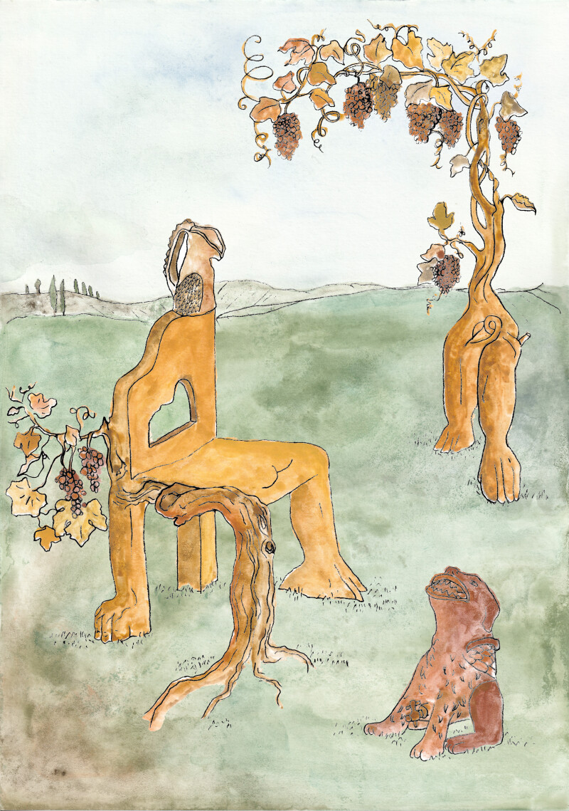 Rencontre avec Tiphaine Calmettes