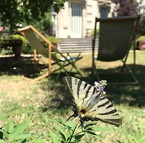 Cherchez la petite bête !