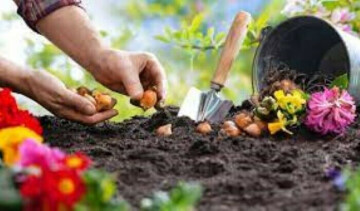 Session jardinage de printemps