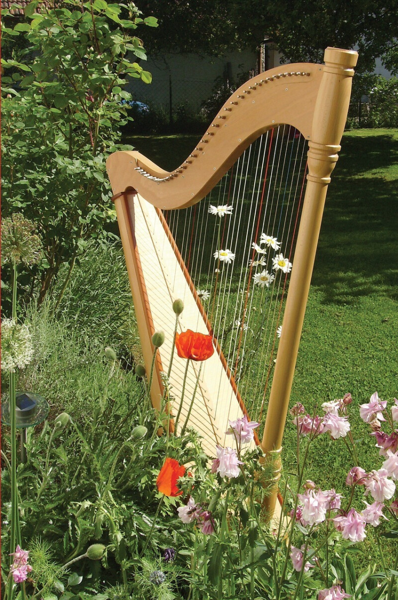 "1 heure, 1 instrument" : la harpe