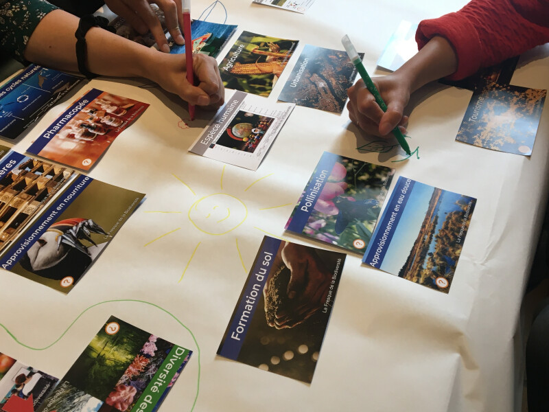 ATELIER LA FRESQUE DE LA BIODIVERSITÉ
par l’association « Biodiverso »