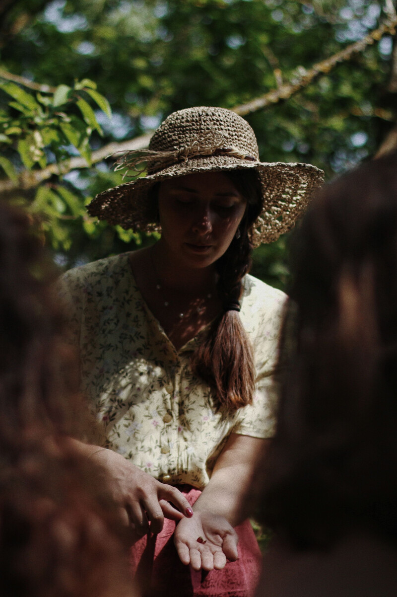 Fondamentaux en cueillette sauvage - St-Cloud