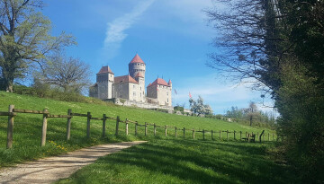 Balade à la découverte des plantes sauvages aux Gorges du Fier (1/2 journée)