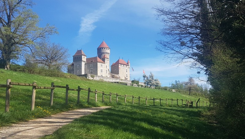 Balade à la découverte des plantes sauvages - Echappée botanique en pays de légendes au Saut du Fier (3h30)