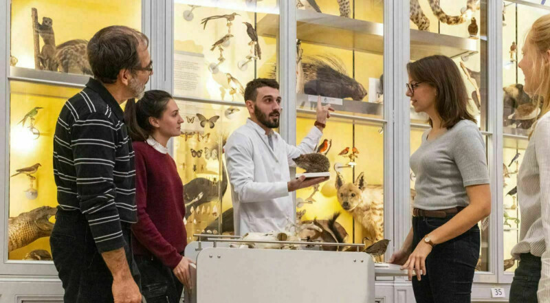 Journées Européennes du Patrimoine et du Matrimoine à Bordeaux