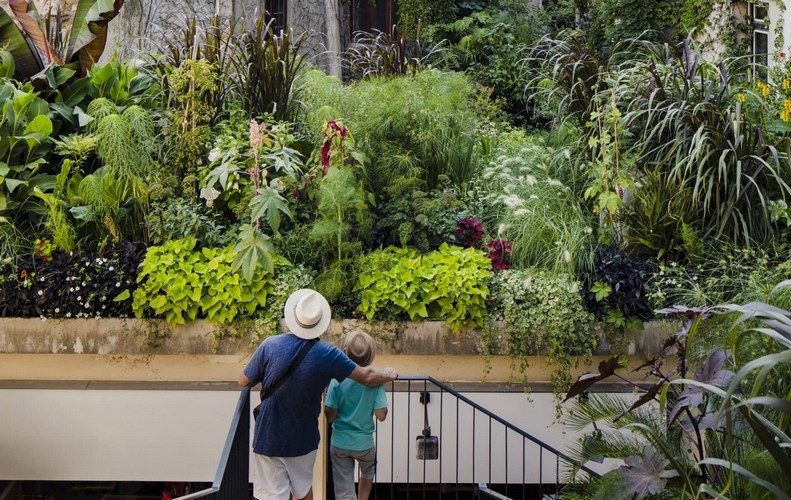 La ville est un jardin - Visite guidée