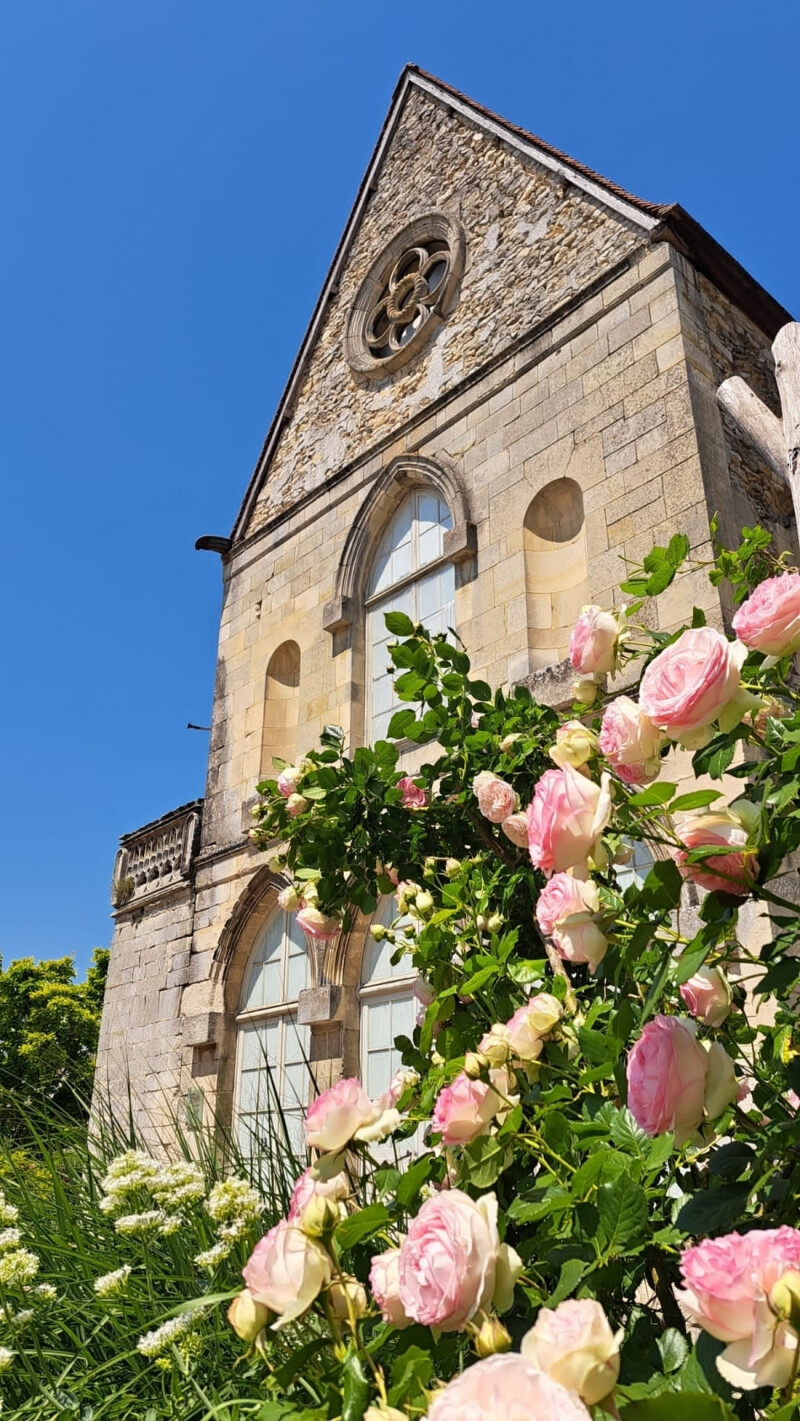 Visite guidée : "Senlis au temps des rois de France"