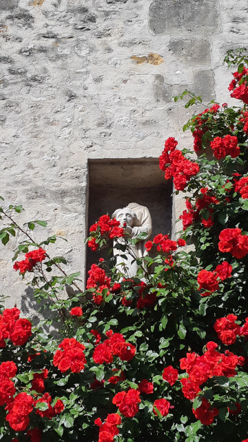 Visite guidée : "Senlis à la jumelle, une découverte insolite du patrimoine"