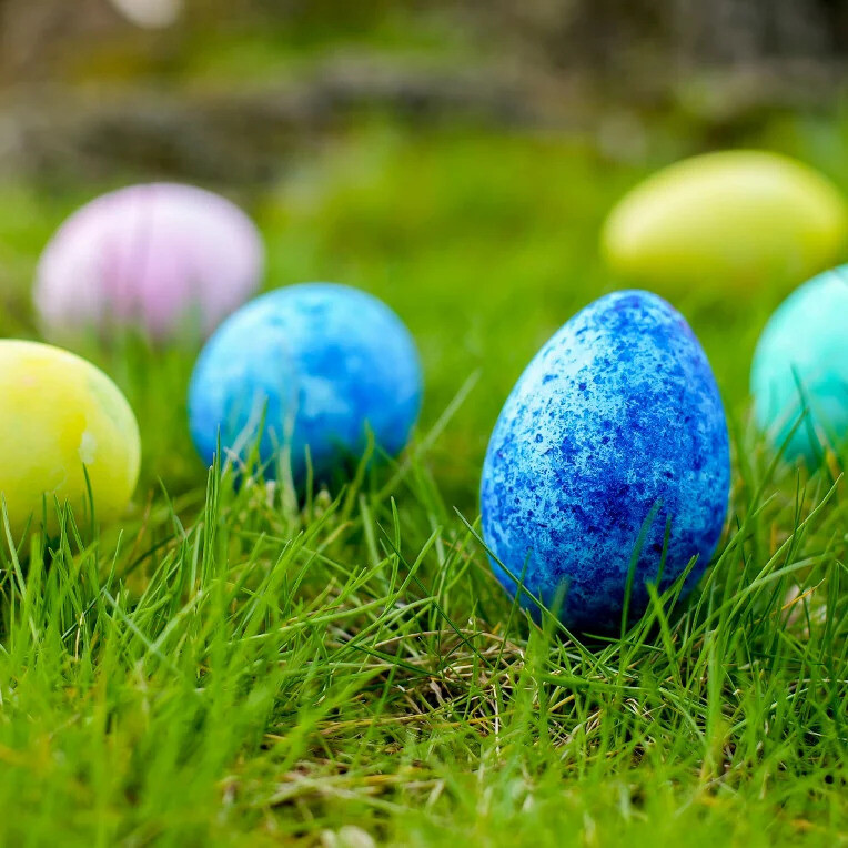 Grande chasse à l'œuf