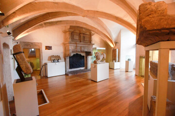 Visite libre de la Tour aux Puces