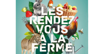 Dimanche 5 octobre : le goûter à la ferme