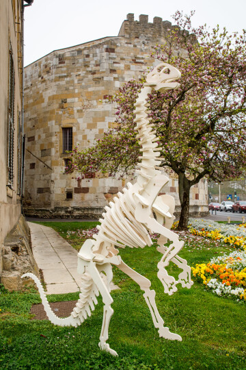 Atelier "Construit ton dino"